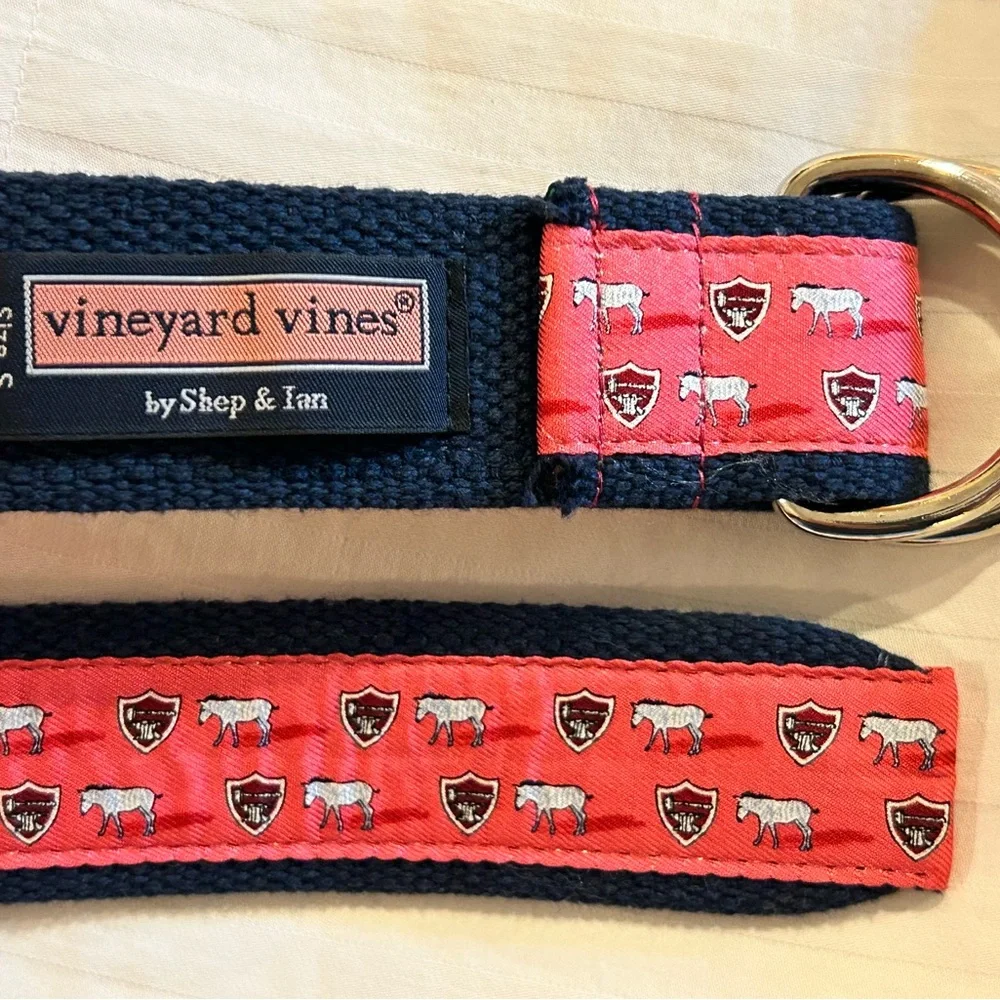 Vineyard Vines‎ Women’s Belt D-Ring Preppy Zebra Blue Pink Size Small 34”
